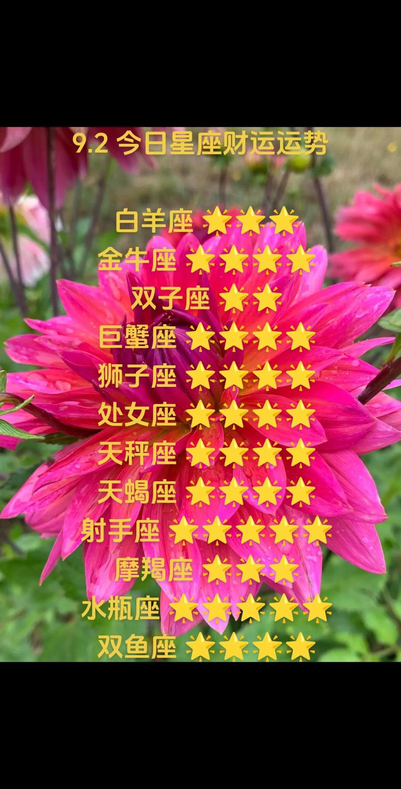 冬季星座运势：白羊金牛双子狮子丰收爱情事业财运