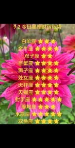 冬季星座运势：白羊金牛双子狮子丰收爱情事业财运