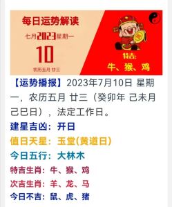 2025生肖运势：鼠龙马猪大放异彩，新年梦想成真！