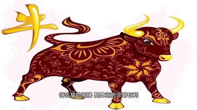 2025生肖运势：鼠腾飞牛财旺虎广交兔美满，开启精彩篇章！