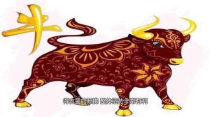 2025生肖运势：鼠腾飞牛财旺虎广交兔美满，开启精彩篇章！