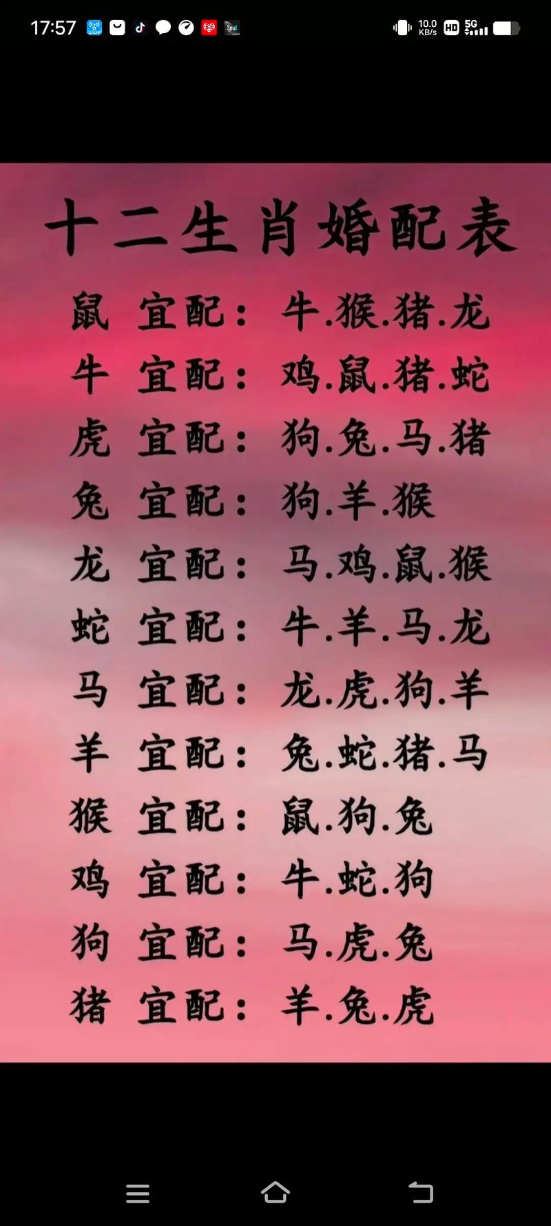 2025年生肖运势揭秘：兔猪龙守护策略全解析