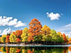 12月30日属虎马蛇事业良机：制定计划，谨慎行事！