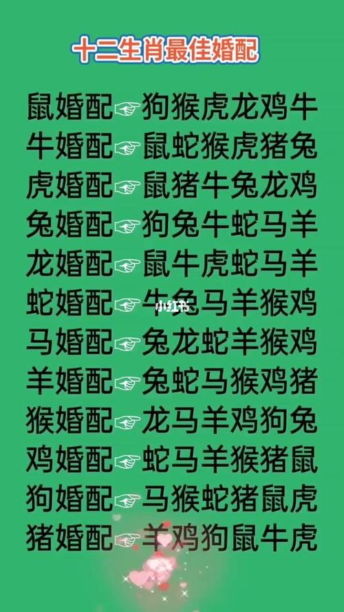 生肖女性婚姻性格解析：温柔包容与坚强底线的平衡