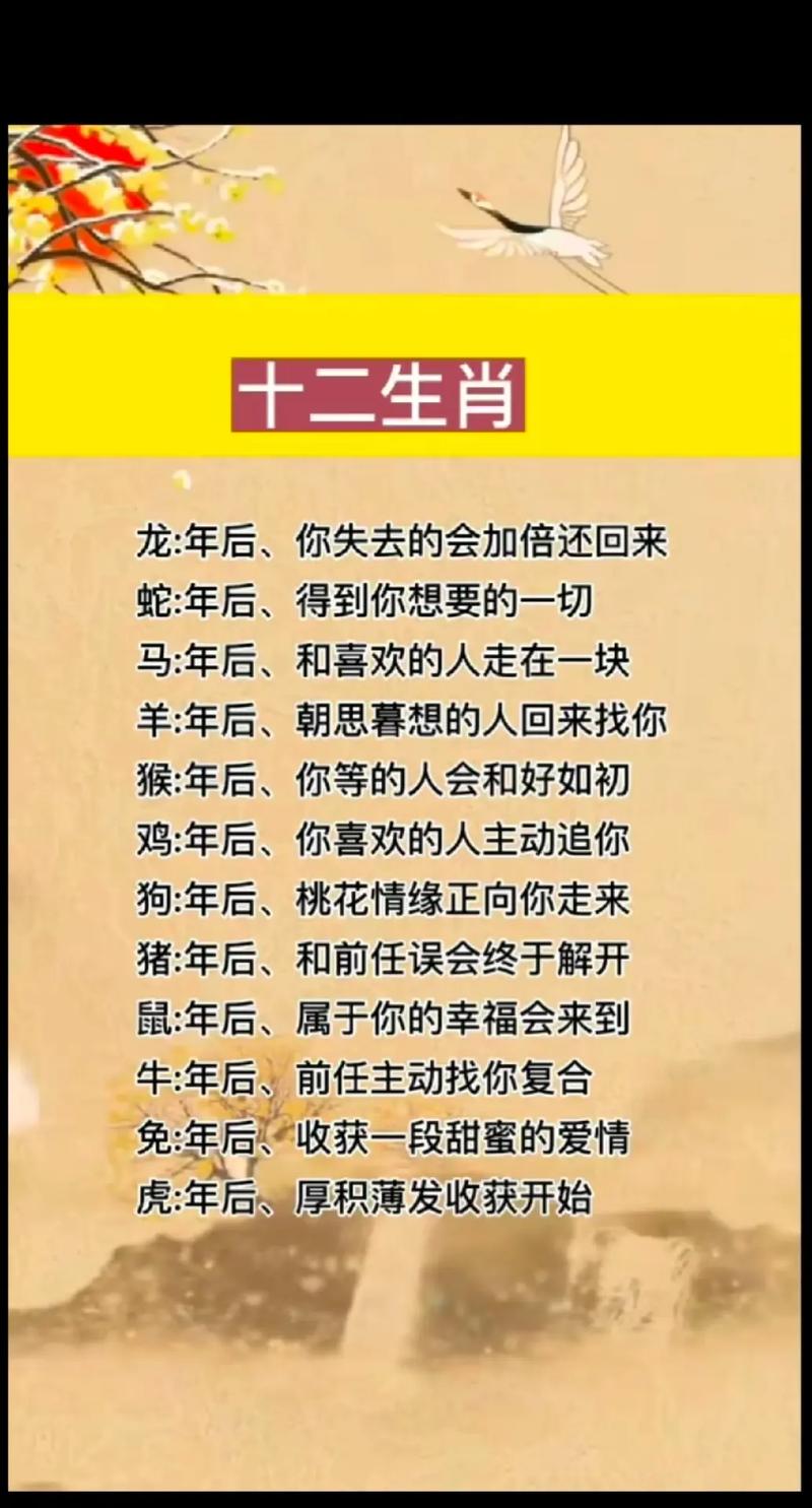 蛇年运势揭秘：十二生肖挑战与机遇并存