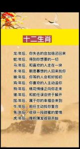 蛇年运势揭秘：十二生肖挑战与机遇并存