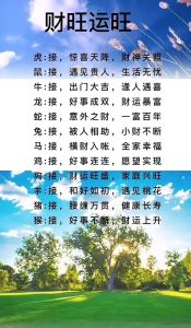 五个生肖运势大爆发：事业财运双丰收，你准备好了吗？