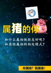 揭秘属猪人性格：忠诚稳重，爱情观独特