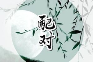 属牛人爱情婚姻观：稳重忠诚，和谐珍贵
