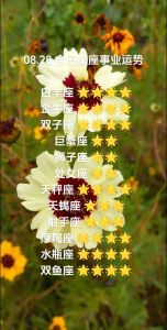 四大星座元旦后财运旺，事业双丰收新篇章！