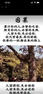 因果报应：揭秘善恶循环的东方智慧