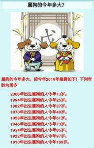 生肖好人缘揭秘：羊狗牛猪的幸福秘诀
