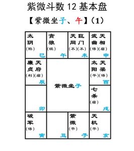 紫微斗数财运揭秘：案例57命盘解析财富之路