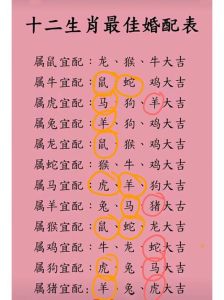 鼠蛇马猪迎财富盛宴：冬季四大生肖逆袭攻略