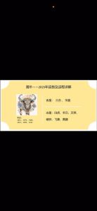 2025新年生肖运势解析：事业财运爱情一览