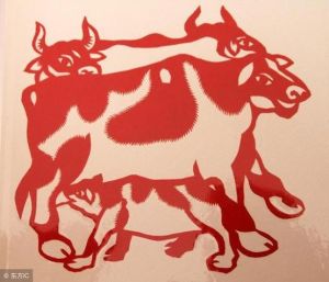 12月生肖逆袭：属鼠牛虎兔大转运，双喜临门！