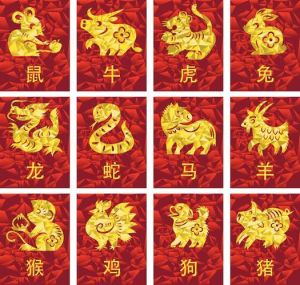 十二生肖运势大揭秘：财运爱情事业全解析！