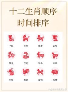 揭秘一生好运生肖：龙牛猴狗，贵助人生顺畅