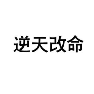 普通人逆天改命：信念与行动的力量