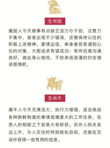 12月31日生肖运势揭秘：喜忧得失，新年挑战与机遇！
