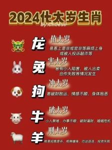 2024年12月31日生肖运势揭秘：每日关键词解析