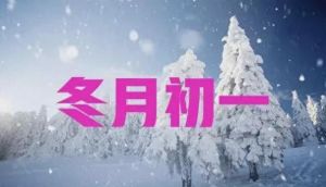 农历十一月初一生女命运揭秘：聪明果断，理财需注意！
