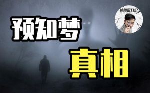 预知梦揭秘：阴气重与梦境奥秘