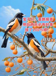 喜鹊报喜：吉祥象征与科学奥秘揭秘
