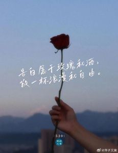 阳光般真挚的都市爱情表白