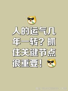 运动装：活力时尚，个性展示的艺术