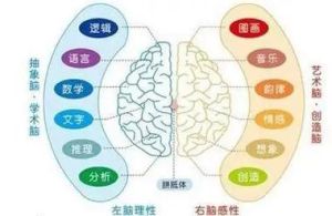 揭秘高智商：天才的奥秘与潜力探索