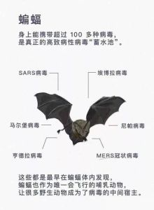 直男蜕变指南：勇敢表白，成为成熟男人