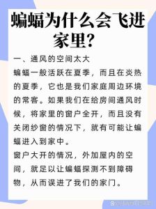 蝙蝠入宅：传统吉祥与现代隐患的解读