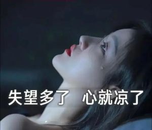 心寒后的自我救赎：找回内心平衡的旅程