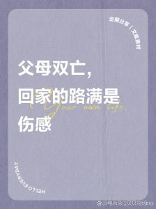 双亲离世家庭：法律关怀与心理重建挑战