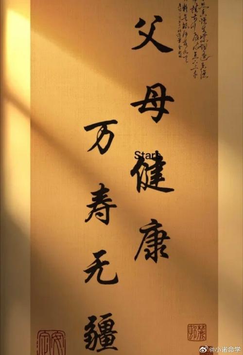 孝道传承与长寿秘诀：平衡家庭与个人成长之道