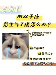 双子座女性的神秘魅力：恋爱中的独特表现揭秘