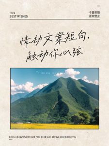 2024双子座情劫挑战：平衡自由与爱情，寻找幸福之路