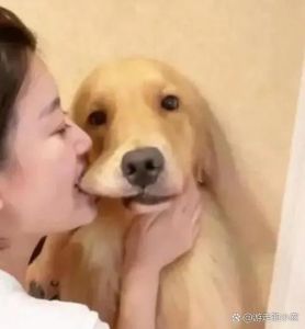 解密梦境：女人梦见狗咬的心理密码