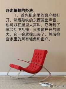 蝙蝠日间藏身之谜：和谐共处之道