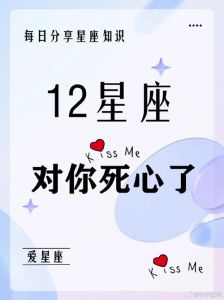 挽回双子心：深入理解，重建信任，共筑爱情奇迹