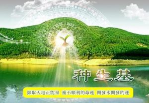 解梦揭秘：梦见钻地洞的寓意与生活影响
