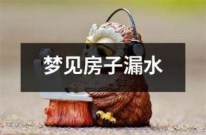 梦境解析：地下室象征揭秘，洞察内心焦虑与生活挑战