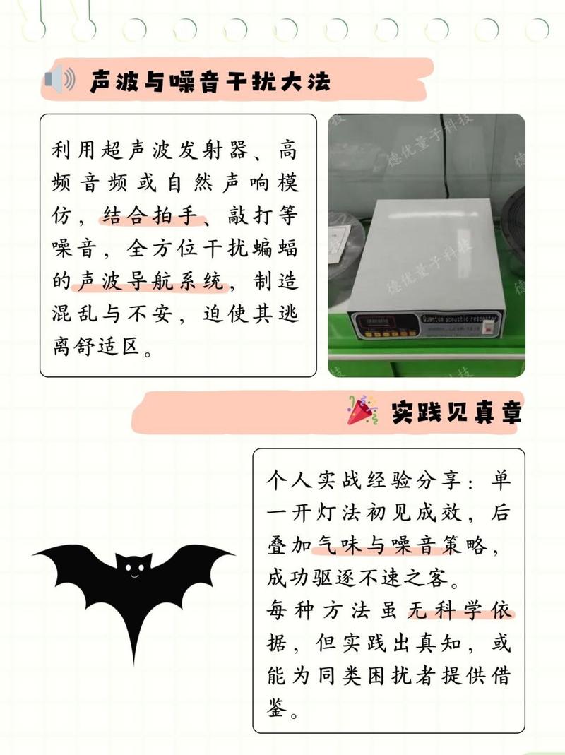 夏日家中蝙蝠侵扰？驱赶秘籍大揭秘！