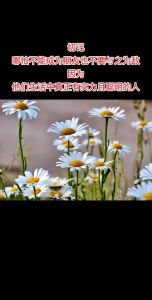 弘一法师：独处非孤独，精神独立的境界