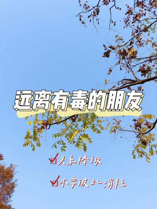 友情尽头信号：疏远共情下降与独立成长，如何自处？