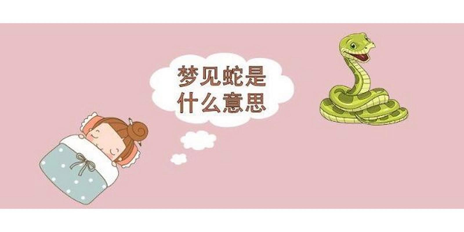 揭秘梦境蛇群：探索心理暗示与预示