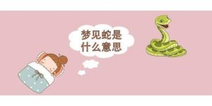 揭秘梦境蛇群：探索心理暗示与预示