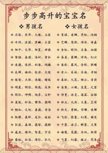 2024龙宝宝吉祥名字精选解析