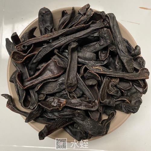 女人梦见水蛭：揭秘梦境寓意与未来预兆